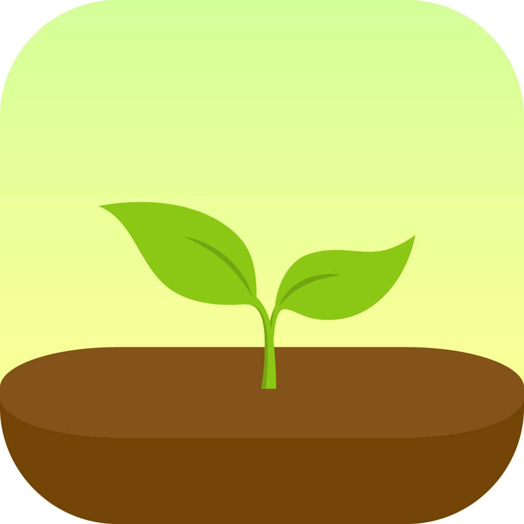 forest logomark
